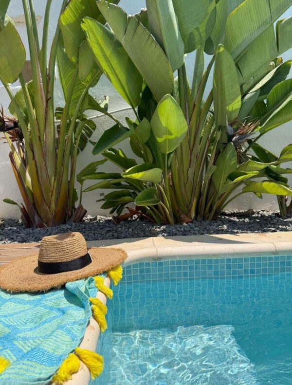 Vous cherchez à louer un bien. Marsa Ennassim est le quartier qui potentiellement pourrait réponde à votre besoin