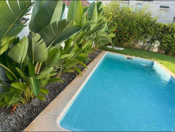 Vous cherchez à louer un bien. Marsa Ennassim est le quartier qui potentiellement pourrait réponde à votre besoin