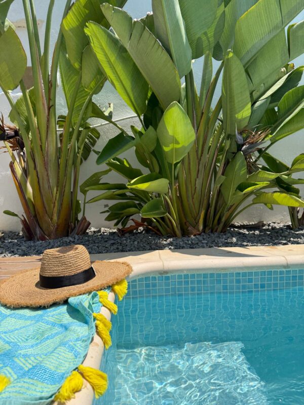 Vous cherchez à louer un bien. Marsa Ennassim est le quartier qui potentiellement pourrait réponde à votre besoin