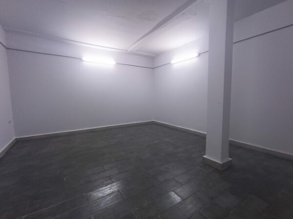 Lac 2 a louer belle villa neuve 4 suite jardin terrasse piscine