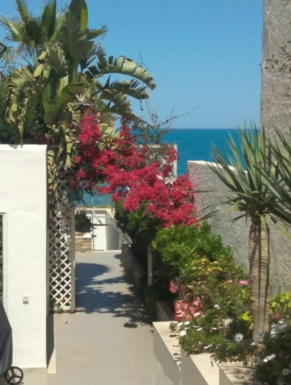 La villa dispose de 3 chambres plus un studio indépendant meublé pied dans l'eau, 2 salons, une terrasse, un jardin et une piscine extérieure privée. Parking dans la propriété.