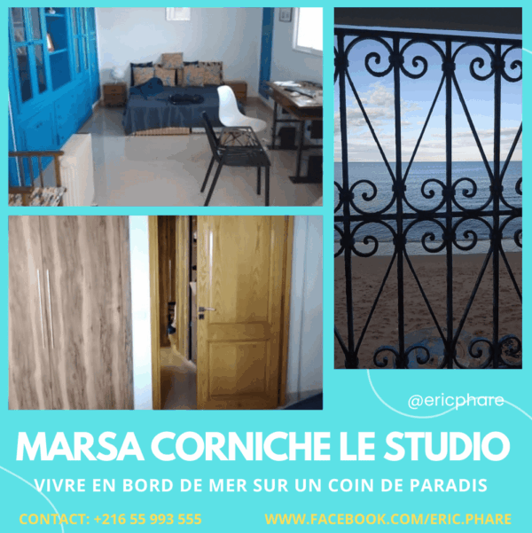 La villa dispose de 3 chambres plus un studio indépendant meublé pied dans l'eau, 2 salons, une terrasse, un jardin et une piscine extérieure privée. Parking dans la propriété.