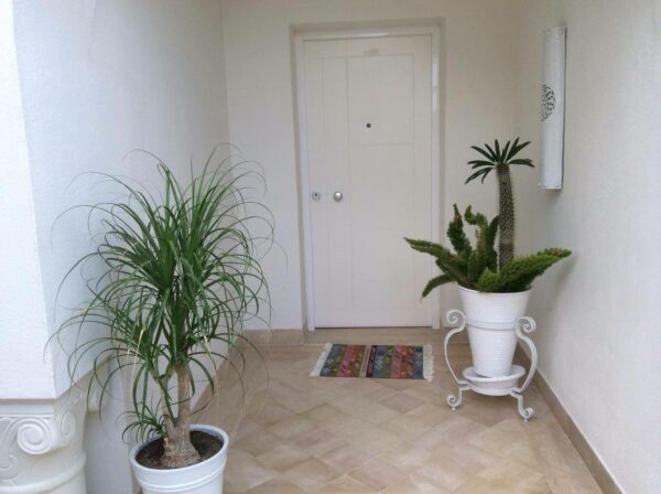 Cap Gammarth beau duplex rénové vue sur la marina la Méditerranée et les yachts