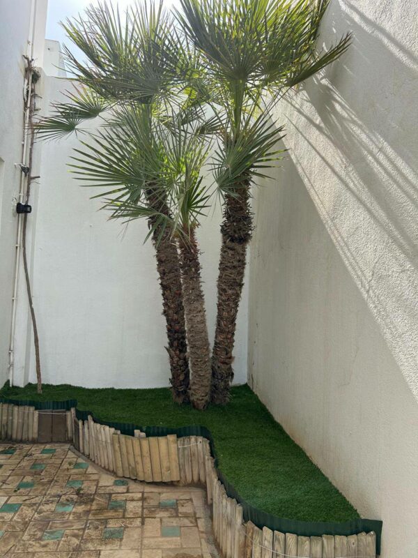 Cap Gammarth beau duplex rénové vue sur la marina la Méditerranée et les yachts