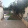 Tunis Lac 2 belle villa pour ambassadeur ou diplomate de haut rang à louer