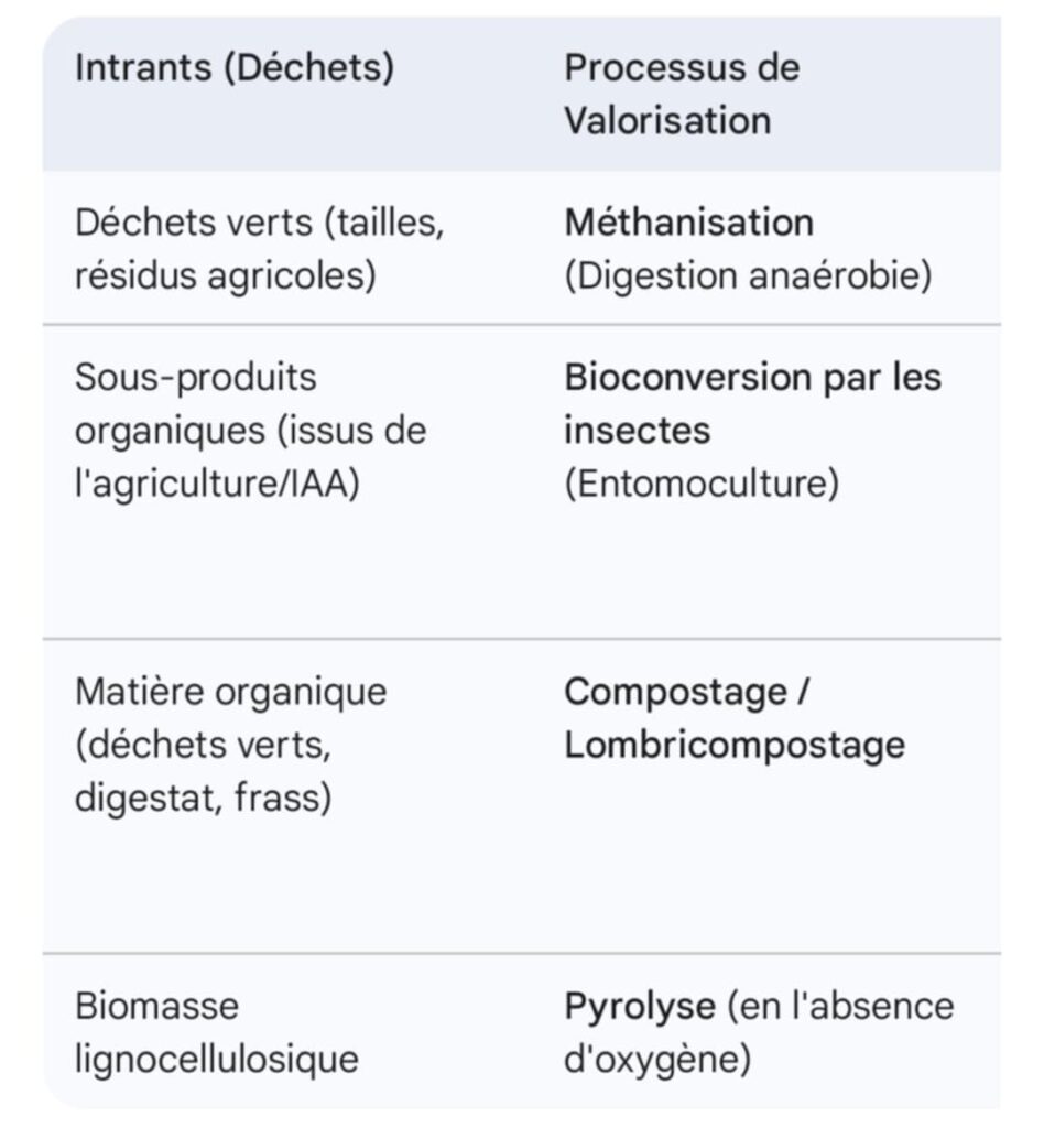 Le recyclage des déchets verts : une solution écologique pour un futur durable
