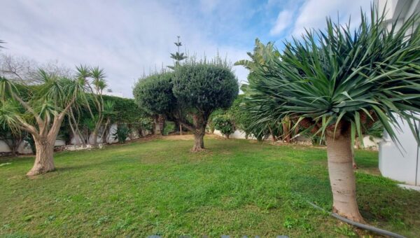 A vendre demeure d'exception sur Gammarth foret avec 5 suites piscine interieure grand jardin