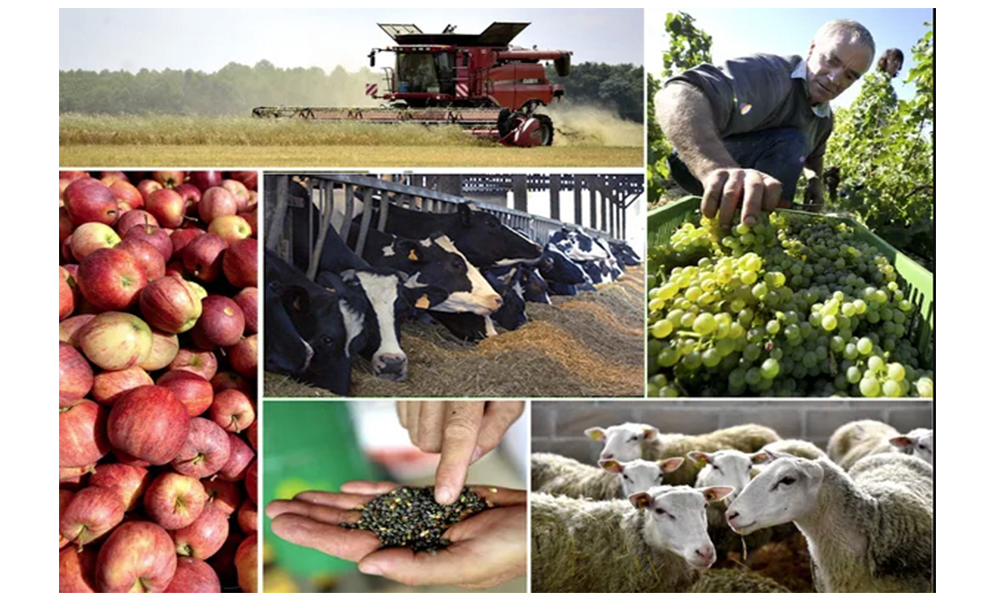 Tout tunisien résident à l'étranger désireux de créer un projet économique peut bénéficier de : La Franchise totale des droits et taxes dus à l'importation