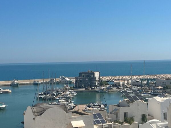 A louer sur Cap Gammarth Marina duplex haut de gamme chambres vue mer et marina