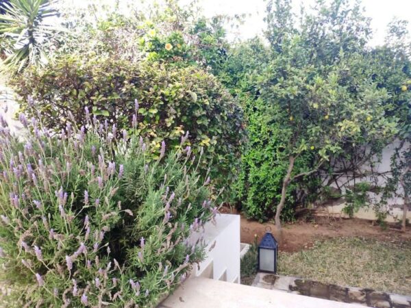 Marsa Les Pins jolie maison de maitre avec piscine à vendre