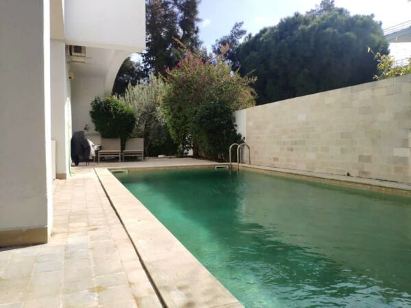 Marsa Les Pins jolie maison de maitre avec piscine à vendre