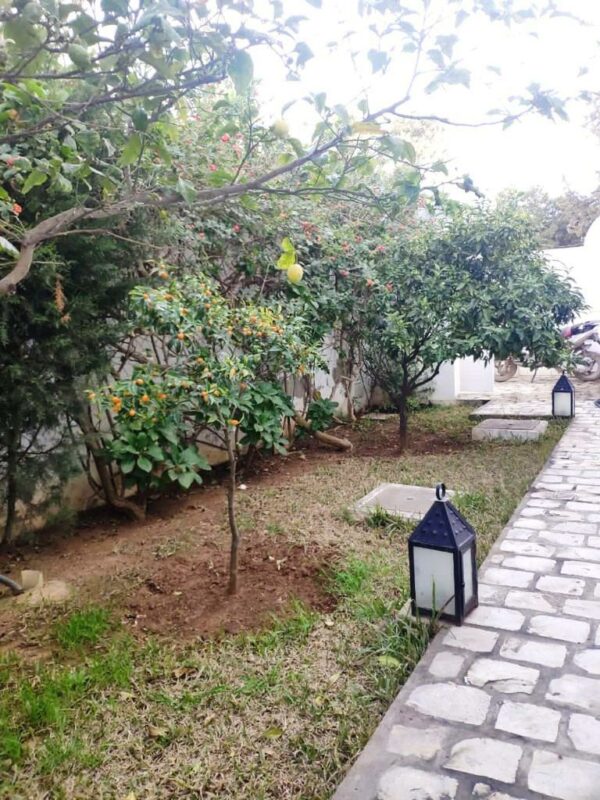 Marsa Les Pins jolie maison de maitre avec piscine à vendre