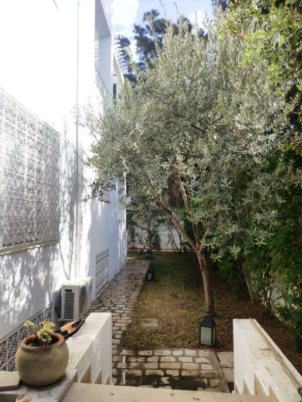 Marsa Les Pins jolie maison de maitre avec piscine à vendre