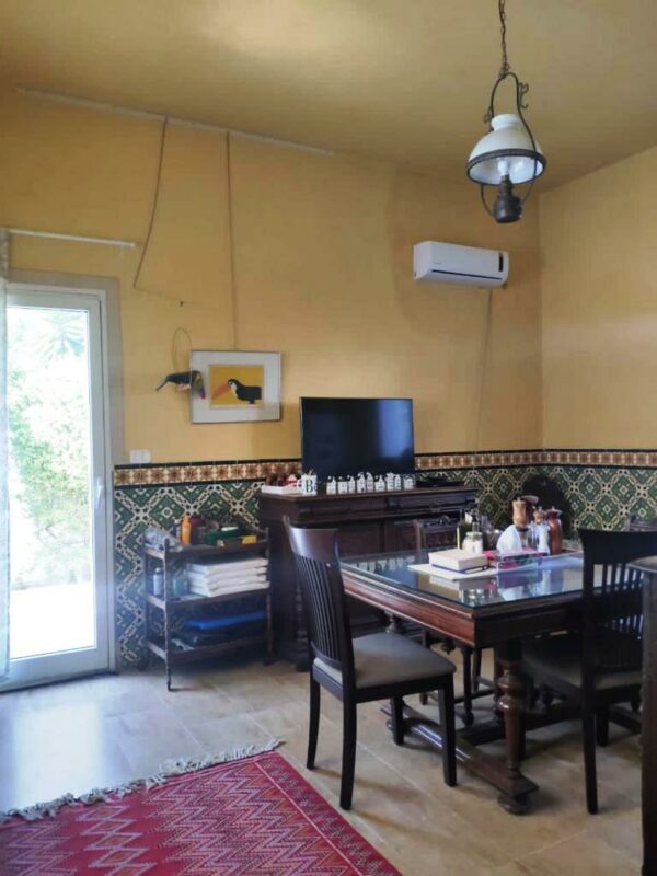 Marsa Les Pins jolie maison de maitre avec piscine à vendre