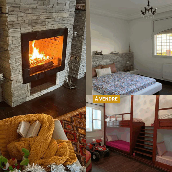 A vendre jolie senia de ha avec des oliviers et une grande et belle demure avec jardin piscine type maison d'hotes