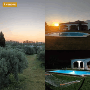 A vendre jolie senia de ha avec des oliviers et une grande et belle demure avec jardin piscine type maison d'hotes