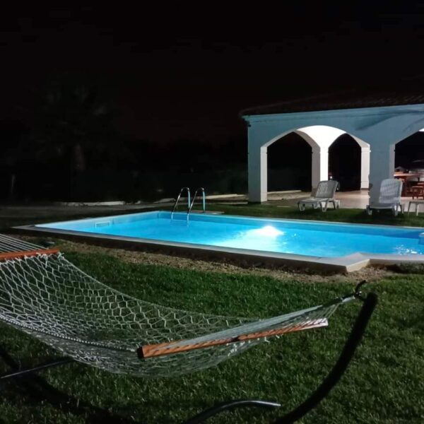 A vendre jolie senia de ha avec des oliviers et une grande et belle demure avec jardin piscine type maison d'hotes