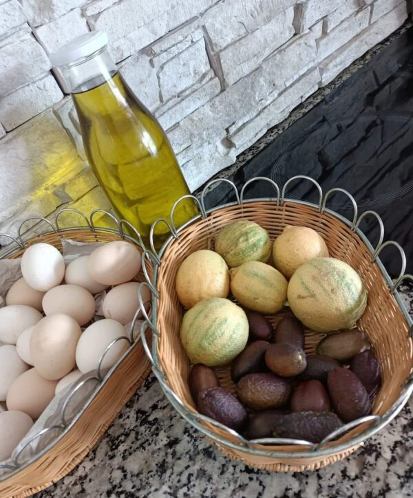 A vendre jolie senia de ha avec des oliviers et une grande et belle demure avec jardin piscine type maison d'hotes