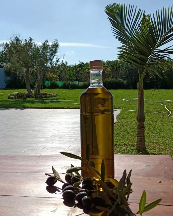 A vendre jolie senia de ha avec des oliviers et une grande et belle demure avec jardin piscine type maison d'hotes