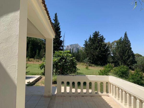 Jolie petite senia avec maison plain pied confortable à vendre sur la région de Mornag