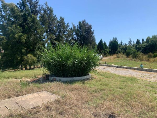 Jolie petite senia avec maison plain pied confortable à vendre sur la région de Mornag