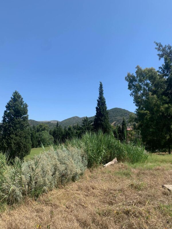 Jolie petite senia avec maison plain pied confortable à vendre sur la région de Mornag