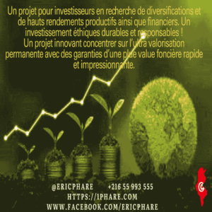 Opportunité d'Investissement : L'Excellence du Terroir au Domaine Oléicole Natura Tunisie