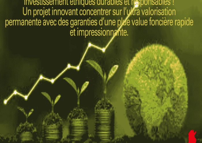 Opportunité d'Investissement : L'Excellence du Terroir au Domaine Oléicole Natura Tunisie