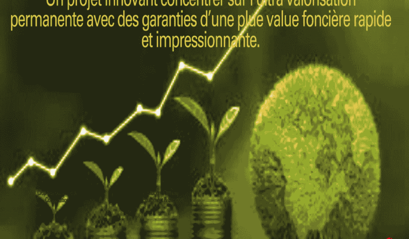 Opportunité d'Investissement : L'Excellence du Terroir au Domaine Oléicole Natura Tunisie