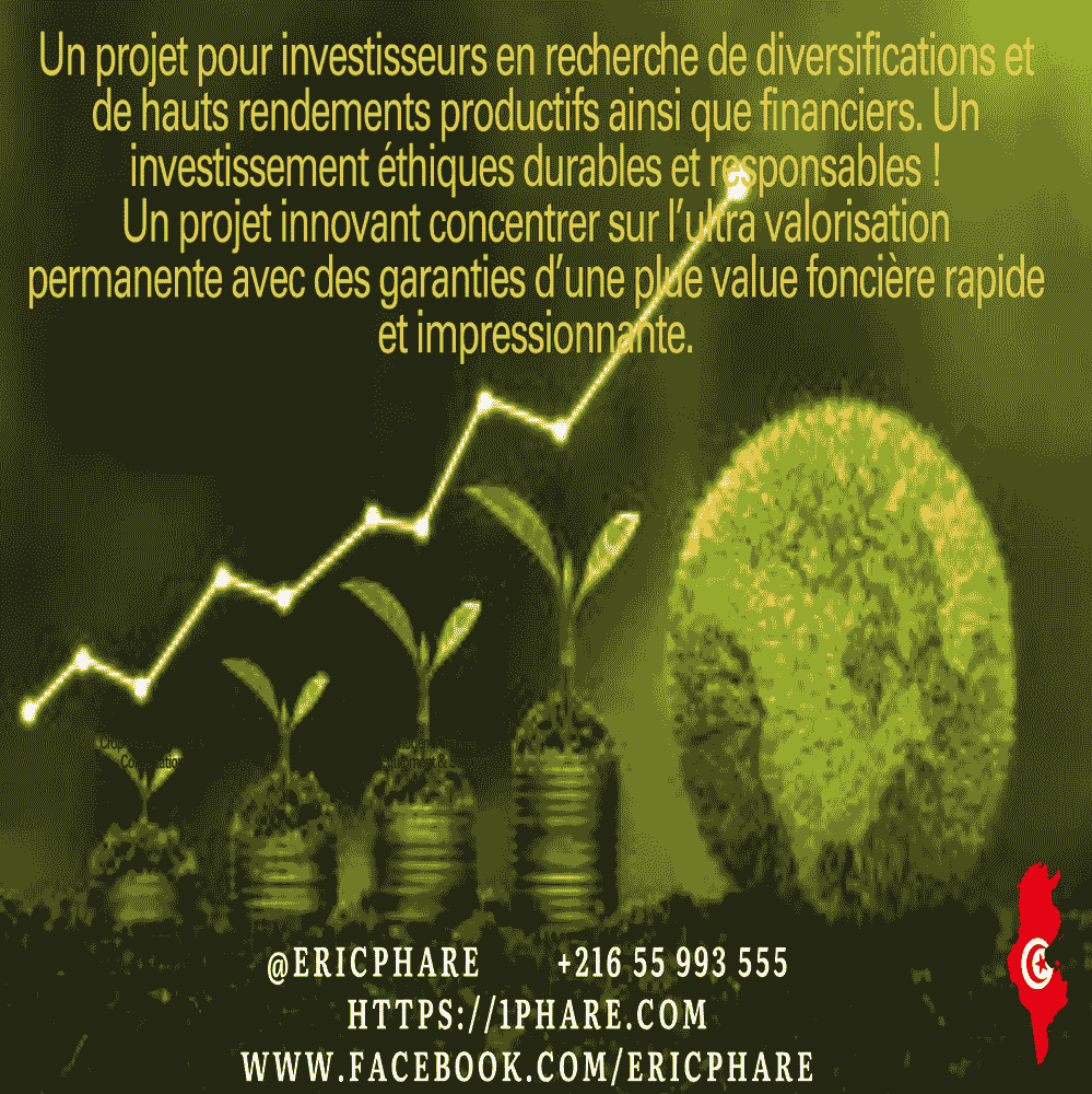 Opportunité d'Investissement : L'Excellence du Terroir au Domaine Oléicole Natura Tunisie