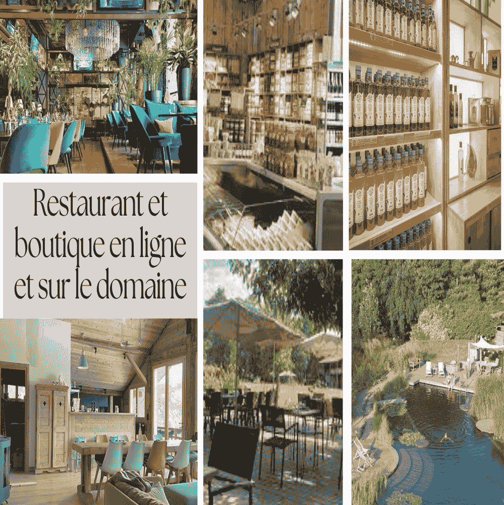 Opportunité d'Investissement : L'Excellence du Terroir au Domaine Oléicole Natura Tunisie