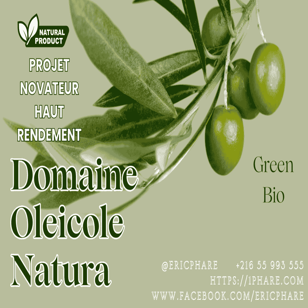 Opportunité d'Investissement : L'Excellence du Terroir au Domaine Oléicole Natura Tunisie