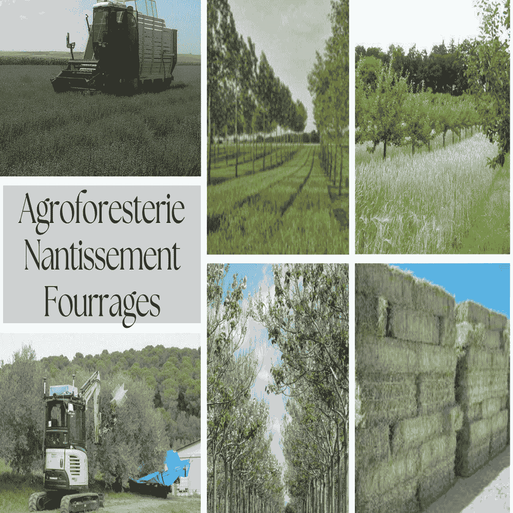 Opportunité d'Investissement : L'Excellence du Terroir au Domaine Oléicole Natura Tunisie